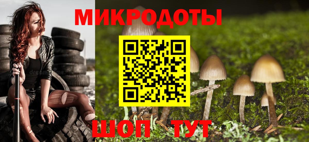 Псилоцибиновые грибы Magic Shrooms Камышлов