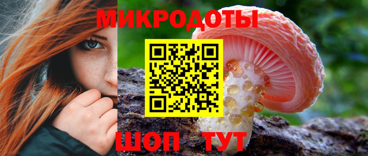 Галлюциногенные грибы прущие грибы  Вход с VPN  Галлюциногенные грибы Cubensis  Камышлов 